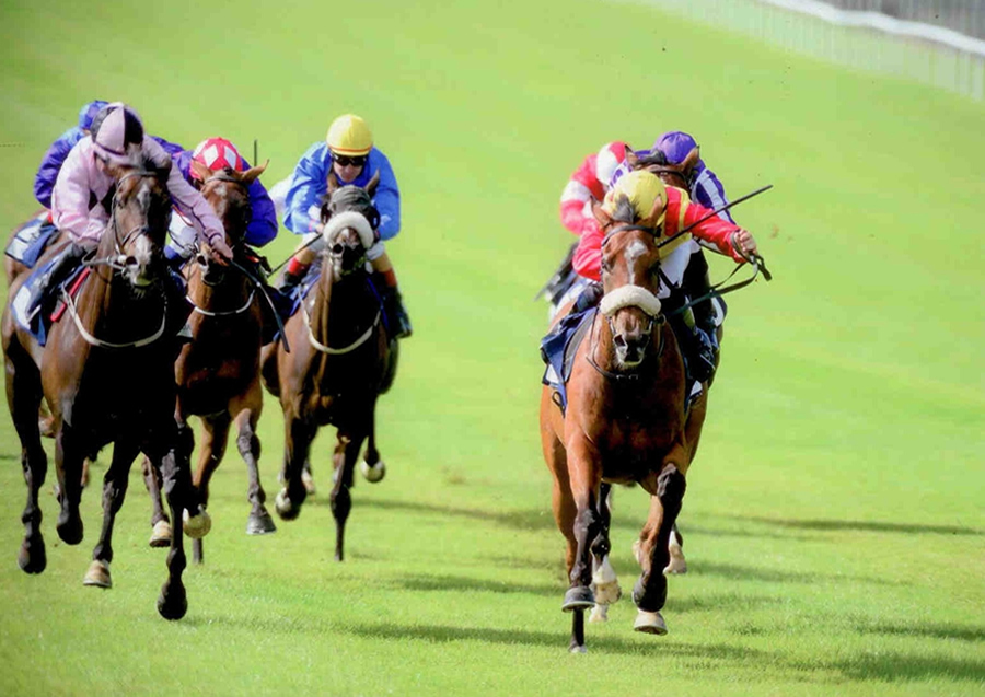 Brendan Brackan - Solonaway Stakes Gr 3 The Curragh 15th Sept 2013
